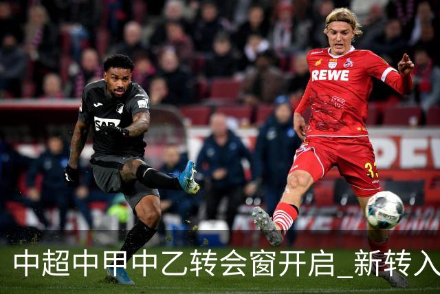 中超中甲中乙转会窗开启 新转入国内球员没有名额限制