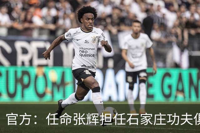 官方：任命张辉担任石家庄功夫俱乐部总经理，袁野担任副总经理